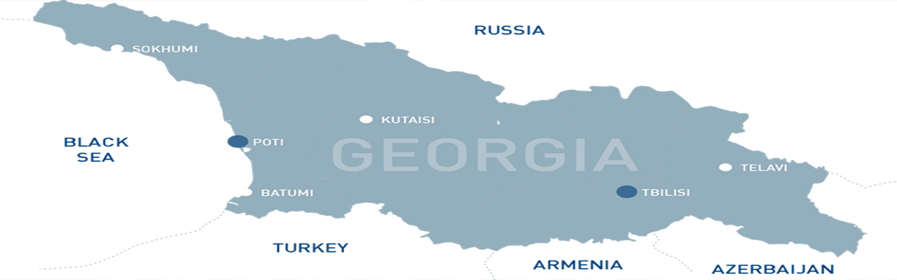 مطالعات عمومی درباره گرجستان